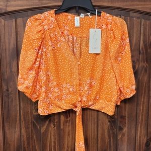 🆕️ Joie Crop Top